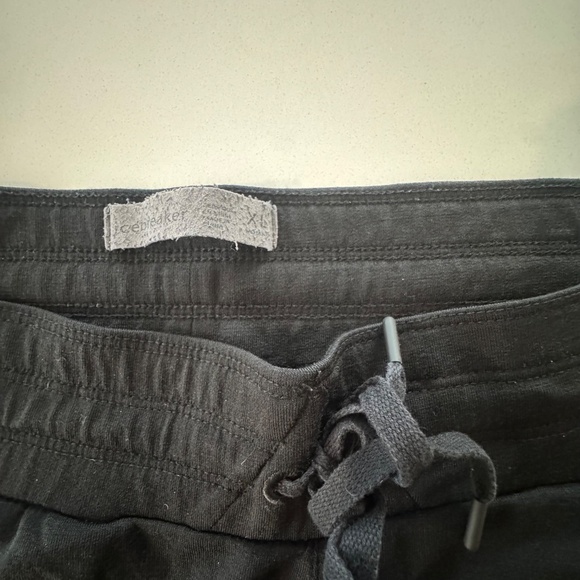 Icebreaker Crush Joggers - Picture 2 of 5
